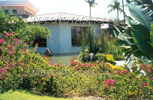 Republique Dominicaine Punta Cana Melia Caribe Tropical Restaurant Japanese Restaurant The rooms have a view of being.