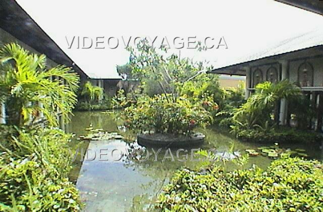 Republique Dominicaine Punta Cana Melia Caribe Tropical In the Caribe section, a pond next to the lobby. The corridor along the being accesses the buffet restaurant.