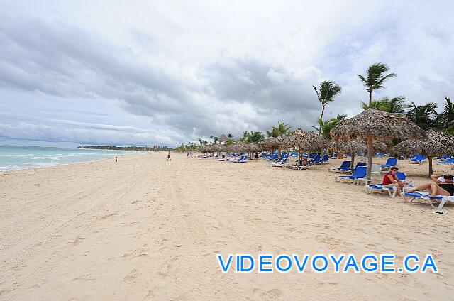 République Dominicaine Punta Cana Hard Rock Punta Cana The hotel beach seems endless.