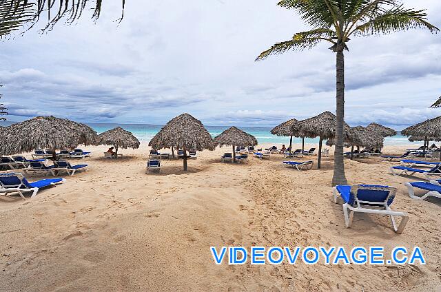 République Dominicaine Punta Cana Hard Rock Punta Cana Many palapas and loungers on the beach.