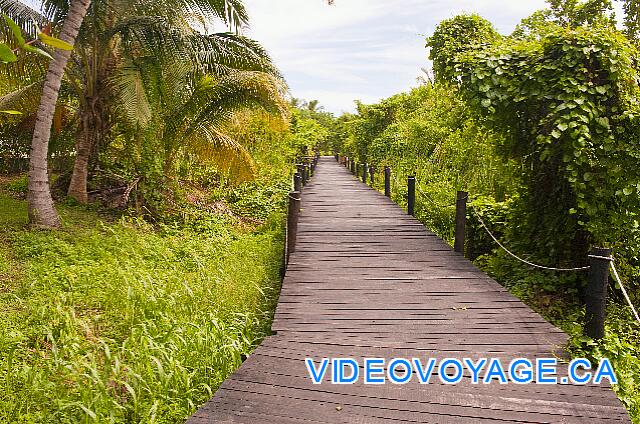 Republique Dominicaine Punta Cana Natura  Park El camino para llegar a las pistas de tenis.