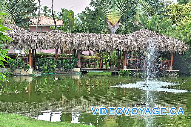 Republique Dominicaine Punta Cana Natura  Park A restaurant in the center of a pond