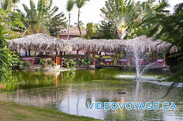 Republique Dominicaine Punta Cana Natura  Park The restaurant with sunset.