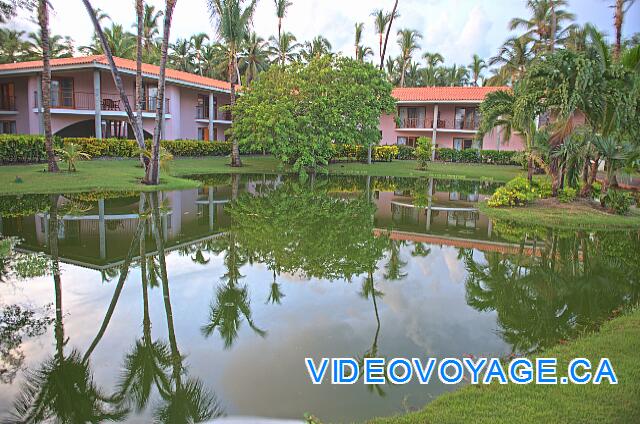 Republique Dominicaine Punta Cana Natura  Park A beautiful setting with lush vegetation and ponds.