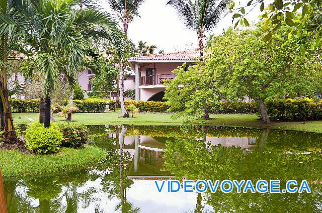 Republique Dominicaine Punta Cana Natura  Park The rooms have a view of beautiful vegetation.