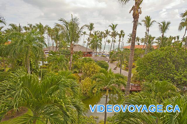 Republique Dominicaine Punta Cana Natura  Park Le jour près de la plage.