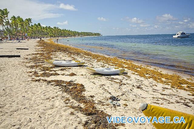 République Dominicaine Punta Cana Be Live Grand Punta Cana Des kayaks sur la plage