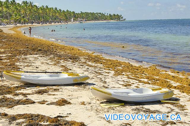 République Dominicaine Punta Cana Be Live Grand Punta Cana Des kayaks sur la plage