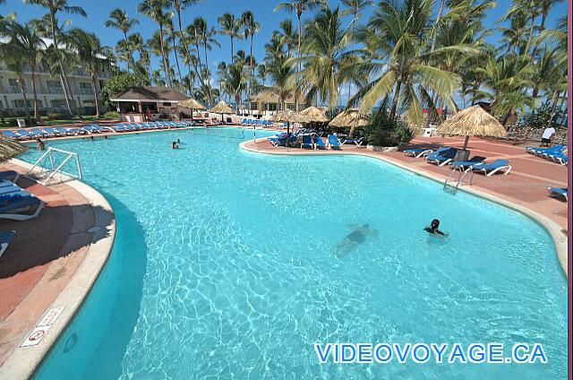 République Dominicaine Punta Cana Be Live Grand Punta Cana The area sports activities in the pool.