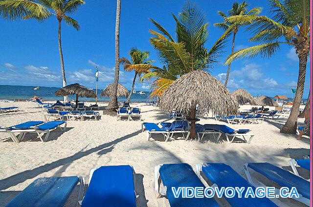République Dominicaine Punta Cana Be Live Grand Punta Cana Muchas sillas en la playa.