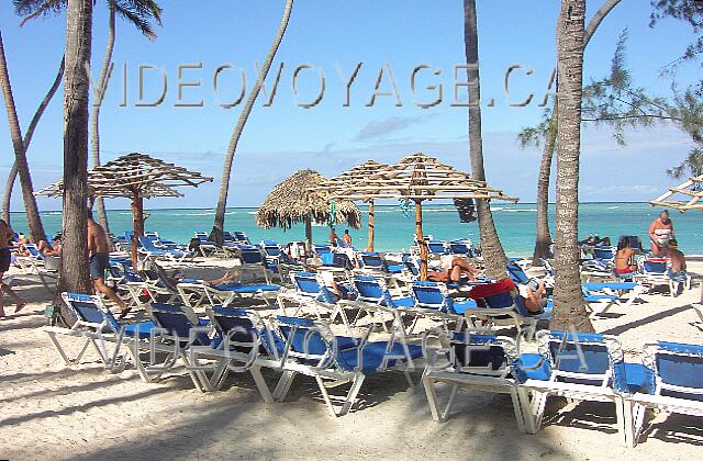 Republique Dominicaine Punta Cana Barcelo Dominican La plage en 2005, était toujours aussi populaire...  Il y avait des palapas en mauvais états à l'époque.