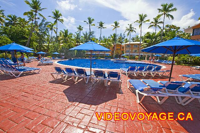 Republique Dominicaine Punta Cana Barcelo Dominican Des chaises longues et des parasols.