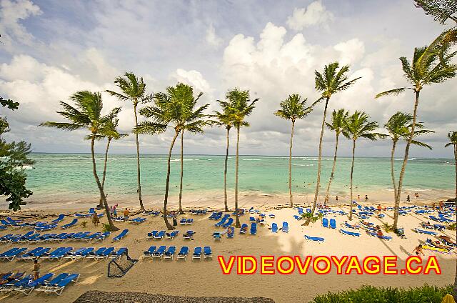 Republique Dominicaine Punta Cana Barcelo Dominican Beaucoup d'espace sur la plage, les chaises longues en grande quantité permettent de répondre à un haut taux d'occupation de l'hôtel...