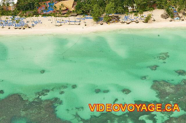 Republique Dominicaine Punta Cana Barcelo Dominican la formation d'algue est à une bonne distance du rivage, trop loins pour que les baigneurs y parviennent.