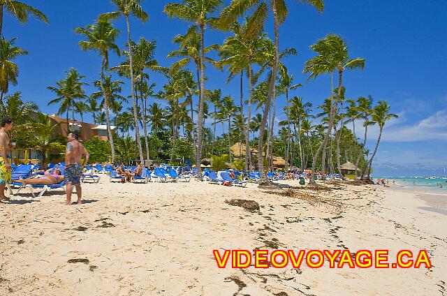 Republique Dominicaine Punta Cana Barcelo Dominican La plage de l'hôtel peut être divisé en deux secteurs, la plage sud qui est très belle et la plage nord avec une pente plus abrupte entre le plateau ou sont les chaises longues et la mer. 