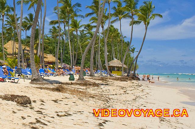 Republique Dominicaine Punta Cana Barcelo Dominican La plage du coté nord est un peu moins belle, mais populaire.