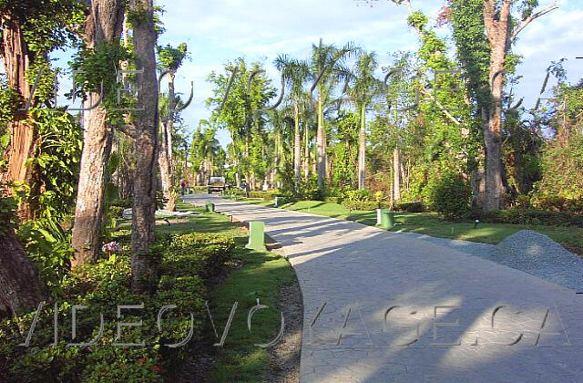 Republique Dominicaine Punta Cana Paradisus Punta Cana It is possible to make a guided tour of the ecological park which separates the bedroom section and the Lobby of over 500 meters.