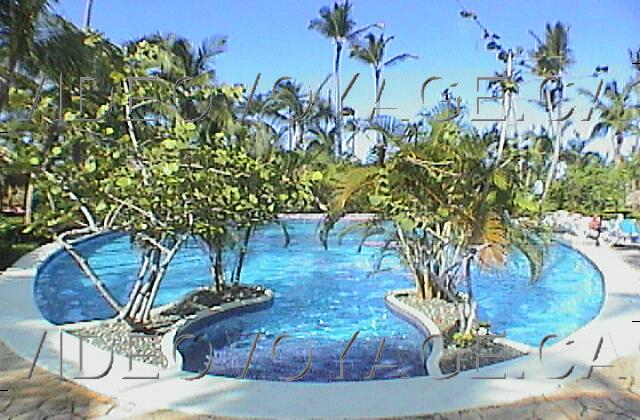 Republique Dominicaine Punta Cana Paradisus Punta Cana Une petite piscine dans le secteur des chambre avec Service Royal.