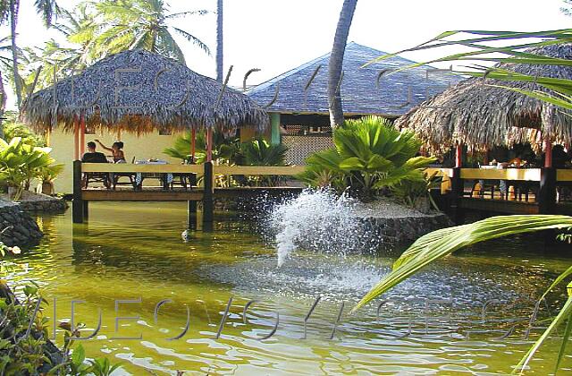 Republique Dominicaine Punta Cana Paradisus Punta Cana The most original aspect of this restaurant. Some tables are placed on platforms in a pond.