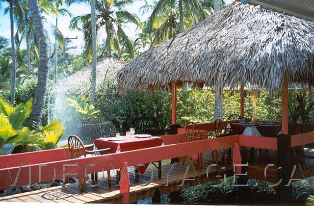 Republique Dominicaine Punta Cana Paradisus Punta Cana Customers love the decor and ambience that exudes it.