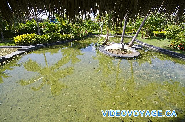 République Dominicaine Punta Cana Paradisus Palma Real Avec une lagune autour.