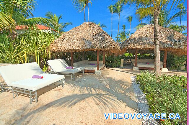 République Dominicaine Punta Cana Paradisus Palma Real Cushioned sun loungers around the pool