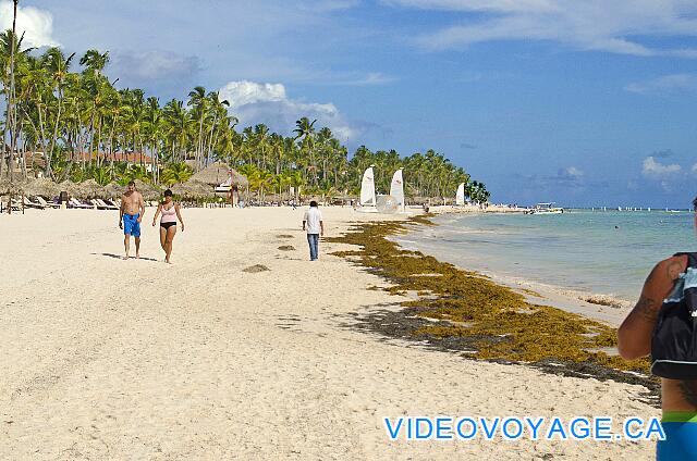 République Dominicaine Punta Cana Paradisus Palma Real Sometimes many passersby on the beach.