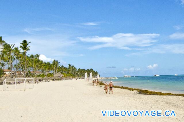 République Dominicaine Punta Cana Paradisus Palma Real A walk on the beach to the north for several kilometers is possible ...