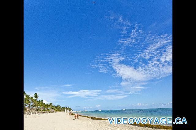 République Dominicaine Punta Cana Paradisus Palma Real A beautiful setting with blue skies ...