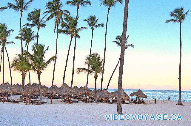 République Dominicaine Punta Cana Paradisus Palma Real The beach at sunset as the sunrise gives a beautiful landscape.