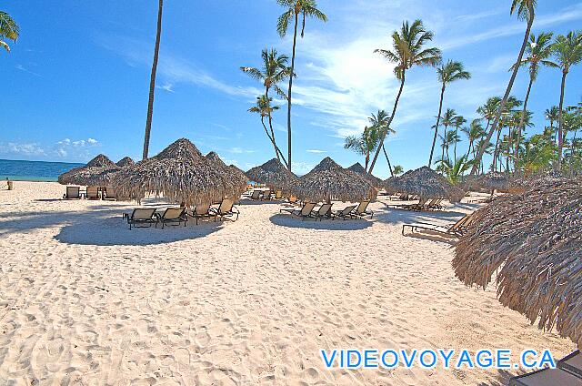 République Dominicaine Punta Cana Paradisus Palma Real De nombreux palapas et chaises longues sur la plage.