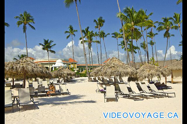 République Dominicaine Punta Cana Paradisus Palma Real Il y a des palmiers sur la plage mais en nombre insuffisant pour faire de l'ombre.