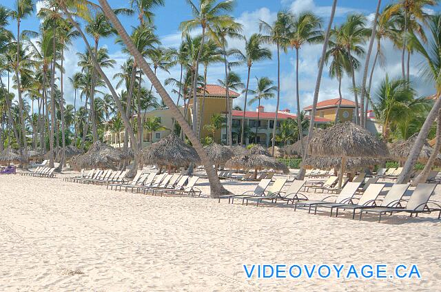 République Dominicaine Punta Cana Paradisus Palma Real Il y a beaucoup de chaise longue sur la plage pour la capacité de l'hôtel.