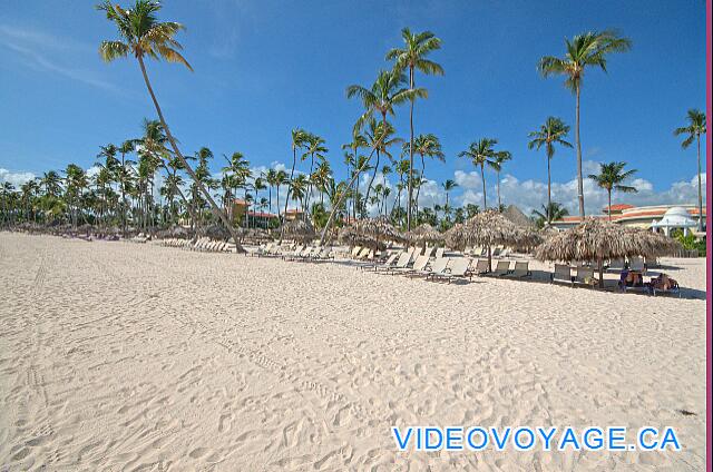 République Dominicaine Punta Cana Paradisus Palma Real Il y a beaucoup de chaise longue sur la plage pour la capacité de l'hôtel.