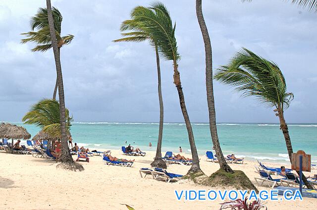 République Dominicaine Punta Cana Bávaro Princess All Suites Resort Palm trees on the beach, the reef is visible.