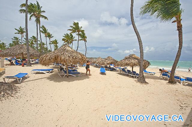 République Dominicaine Punta Cana Bávaro Princess All Suites Resort Several rows of palapas.