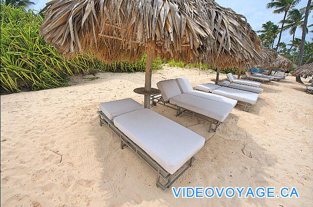 République Dominicaine Punta Cana Bávaro Princess All Suites Resort Sun loungers with cushion.