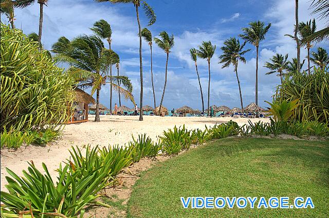 République Dominicaine Punta Cana Bávaro Princess All Suites Resort Una playa de profundidad con palmeras que crecen en la playa.