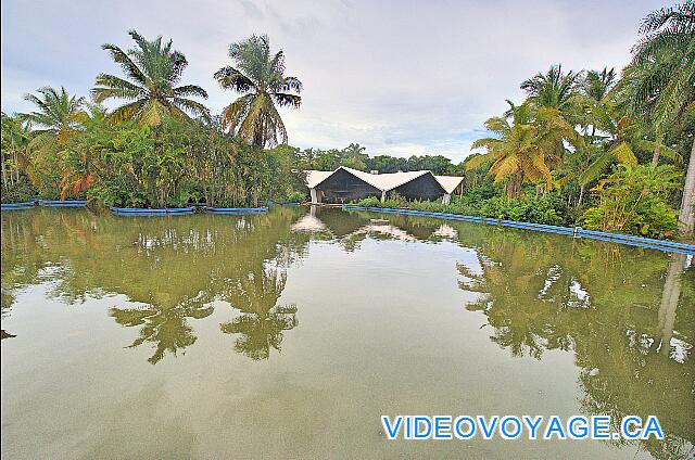 République Dominicaine Punta Cana Bávaro Princess All Suites Resort El restaurante a la carta de cocina gourmet El Licey no está incluido.