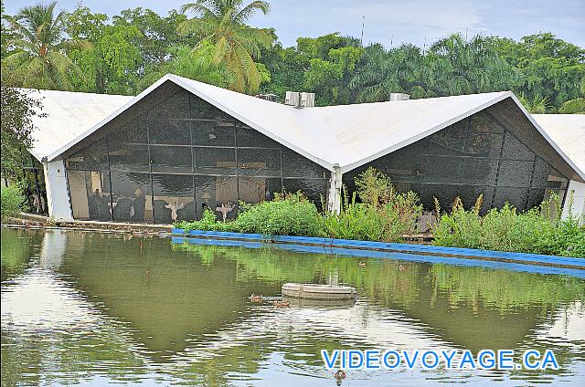 République Dominicaine Punta Cana Bávaro Princess All Suites Resort Situado en el borde del estanque.