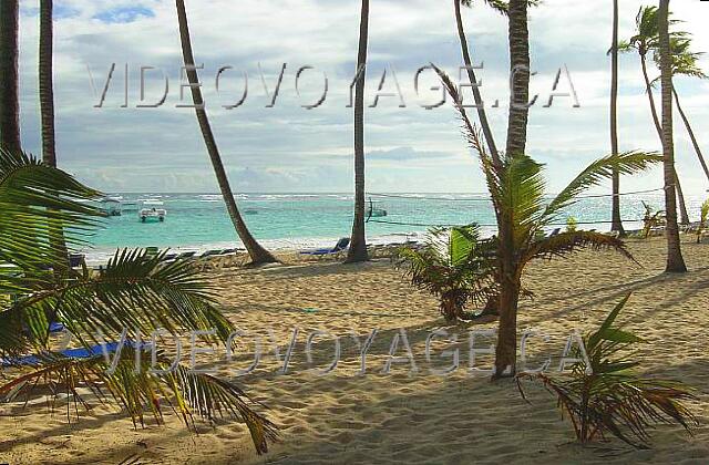 Republique Dominicaine Punta Cana Riu Bambu The trees offer some protection to the sun.