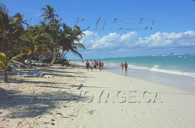 Republique Dominicaine Punta Cana Riu Bambu Pocos presencia hierba rechazada por el mar en la playa de los hoteles RIU. Probablemente porque en la zona no hay presencia de algas en el mar.