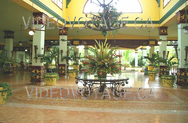 Republique Dominicaine Punta Cana Riu Bambu The lobby with a skylight above a huge plant on the table.