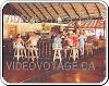 Bar La Batchata of the hotel Riu Naiboa in Punta Cana Republique Dominicaine