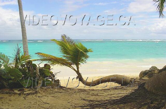 Republique Dominicaine Punta Cana Riu Naiboa Splendid scenery of!