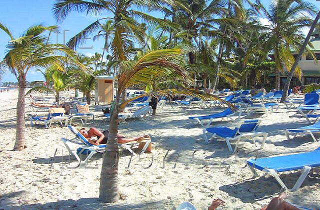 Republique Dominicaine Punta Cana Riu Naiboa Right on the beach RIU Melao, young palm trees on the beach. At bottom right, the restaurant and bar RIU Melao.