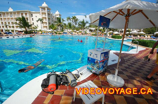 Republique Dominicaine Punta Cana Riu Palace Punta Cana Un cours d'introduction à la plongé sous-marine dans la piscine.