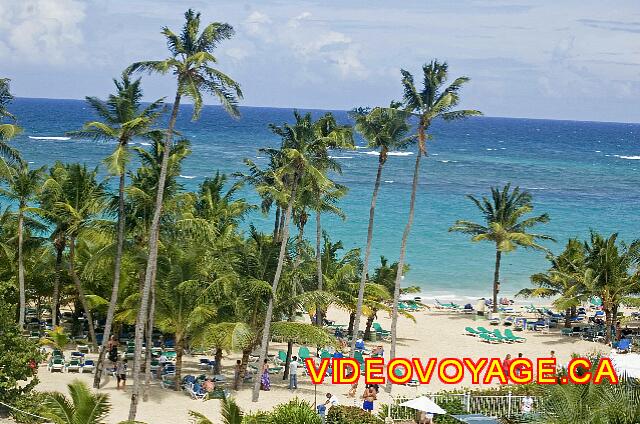 Republique Dominicaine Punta Cana Riu Palace Punta Cana The view from some rooms with ocean view.