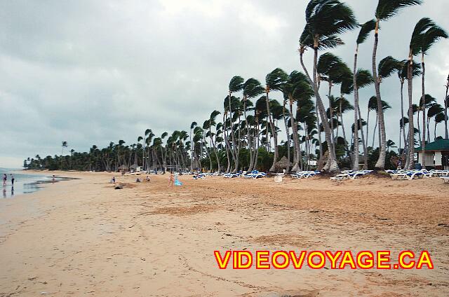 Republique Dominicaine Punta Cana Sirenis Cocotal / Tropical Un largo y profundo playa.