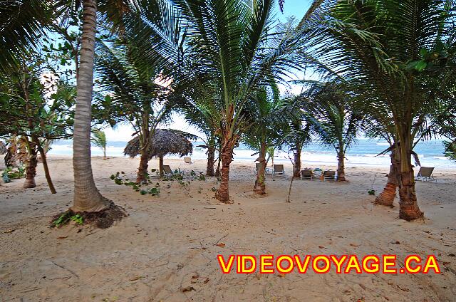 Republique Dominicaine Punta Cana Sivory La playa del hotel da la impresión de estar en una isla todos los lomos.